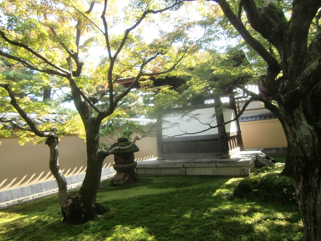 黄梅院・大徳寺